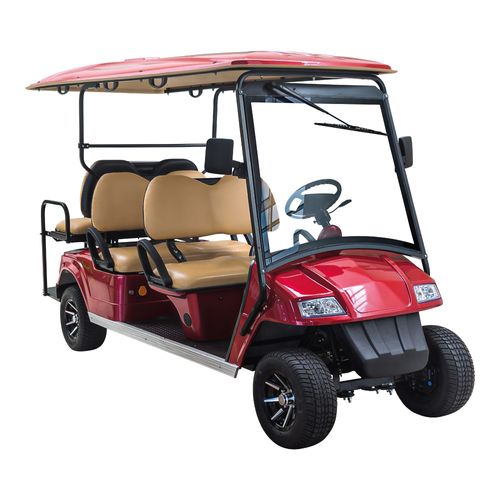 Vehículo eléctrico de golf 5Kw 6 personas